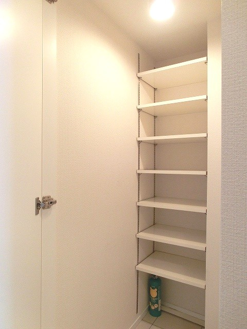 RESIDIA新御徒町の玄関|レジディア新御徒町のシューズインクローゼットです