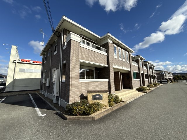 ストリート秋桜Ⅱ