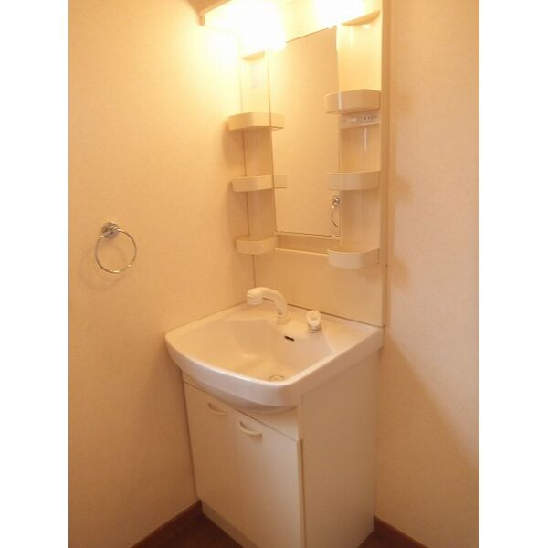 Residence COMFORT　Aの洗面所