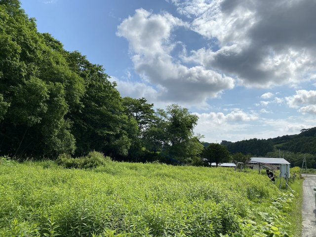 釧路町別保南3丁目10番2外2筆　売土地の外観