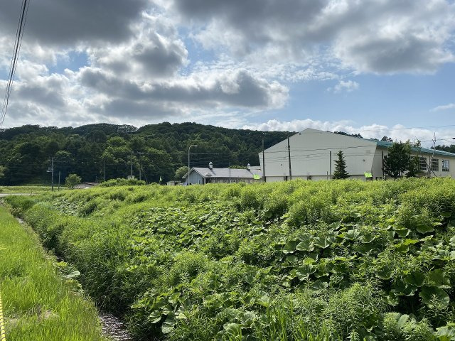 釧路町別保南3丁目10番2外2筆　売土地の外観