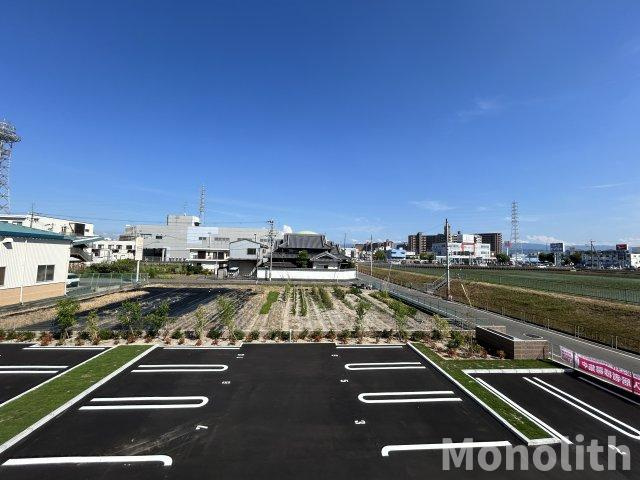 フォルビートジンの展望