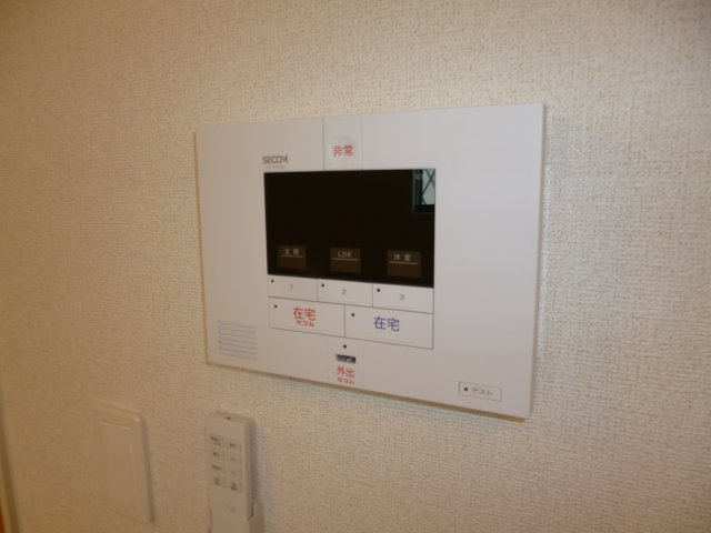 ラフィーネ・ヴィシンのセキュリティ