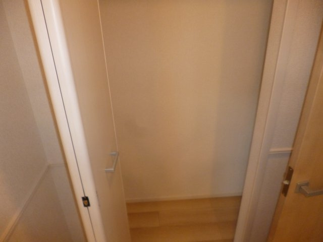 ラフィーネ・ヴィシンの収納|クローゼット