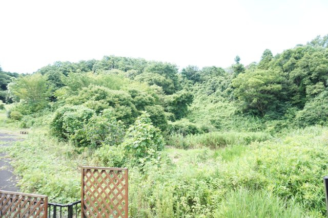 中古戸建　四條畷市緑風台（平成6年築）の展望