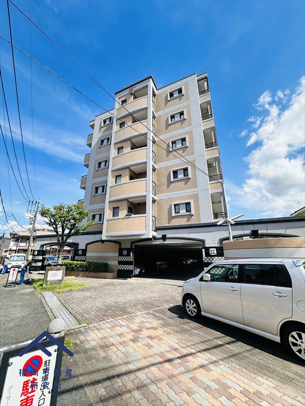 アーサー大橋エクシオⅡの外観