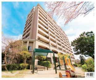 【周辺】の画像