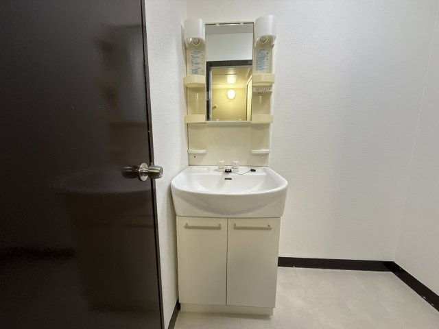 ペシュ七番館の洗面所