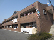 コンフォール山法師の画像