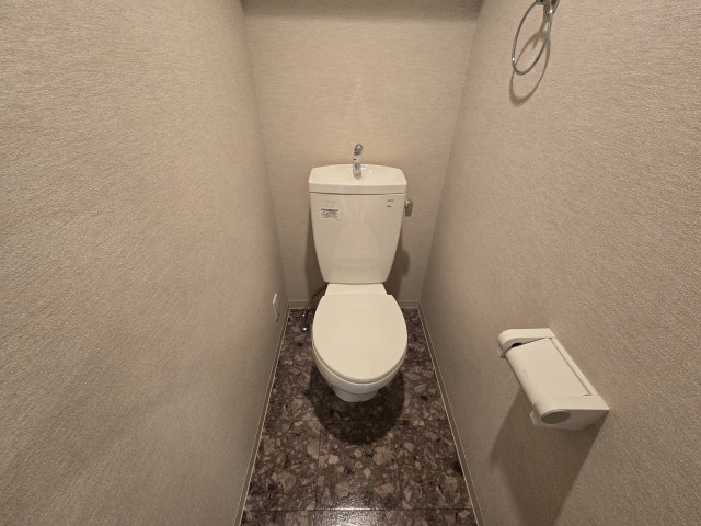プレサンスNAGOYA桜通ビッグビート|名古屋市の賃貸ならMy賃貸のトイレ|プレサンスNAGOYA桜通ビッグビート