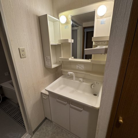 りら・ガーデン登別の独立洗面台