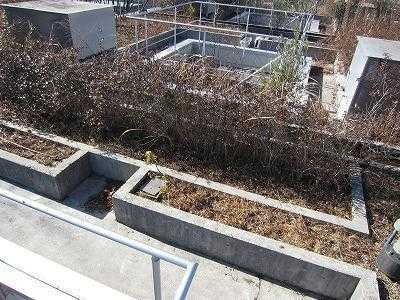 【バルコニー】 | リフュージュオーフォレストS