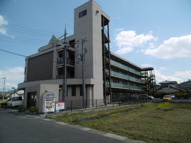 sundanceの画像