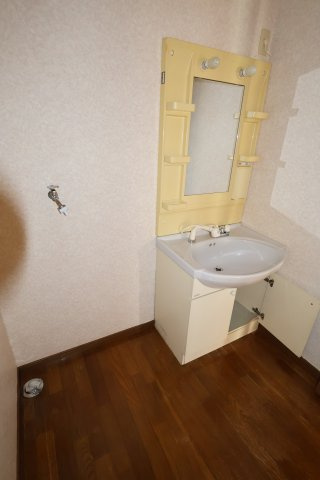 コーポぱーぷるの洗面所