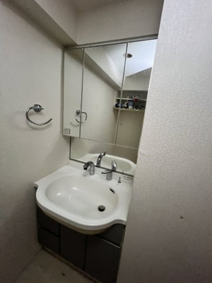【独立洗面台】 | 日神デュオステージ北浦和 | 2024年撮影