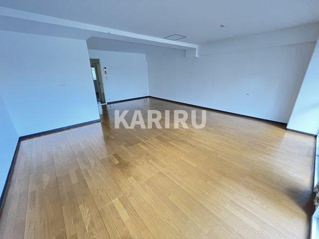 ドルミ京橋の居間・リビング