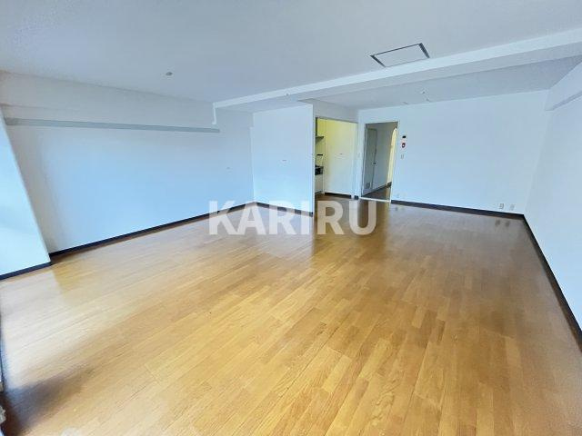 ドルミ京橋の居間・リビング