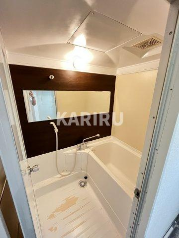 ドルミ京橋の浴室