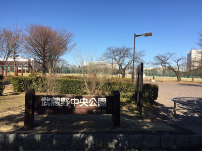 武蔵野中央公園まで500ｍ