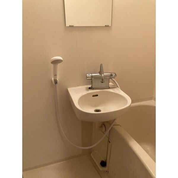 メモワール上桂の洗面所