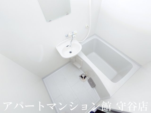 ルネサンス伊奈の浴室