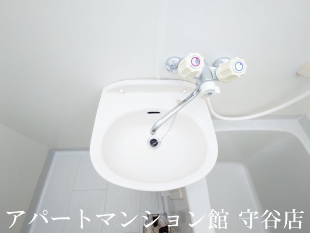 ルネサンス伊奈の洗面所