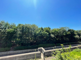 【展望】 | アロハマリーナ