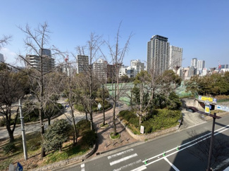 【展望】 | バルコニーの目の前には緑広がる靱公園！