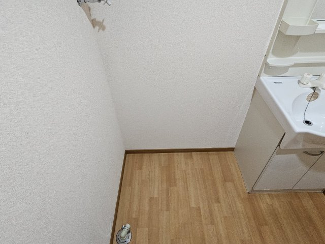 コルナスコートA棟の洗面所