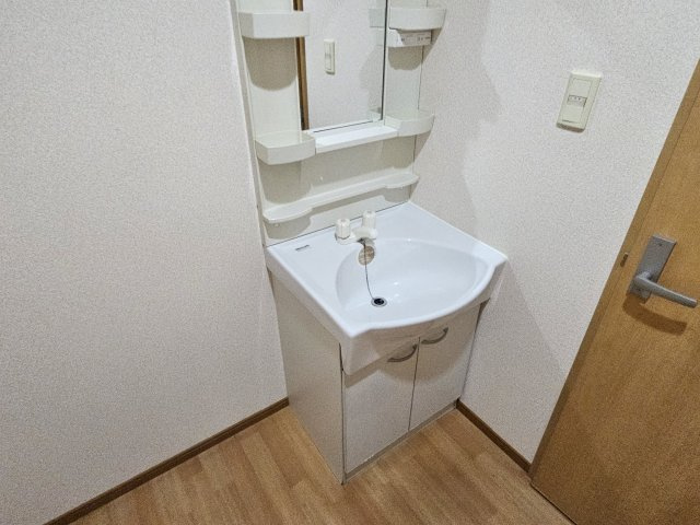 コルナスコートA棟の洗面所