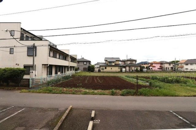 メープルハイム Aの展望|眺望