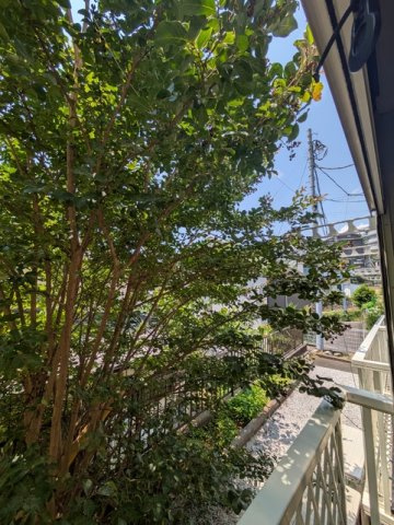 窓からの景色♪