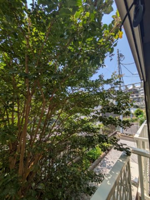 窓からの景色♪