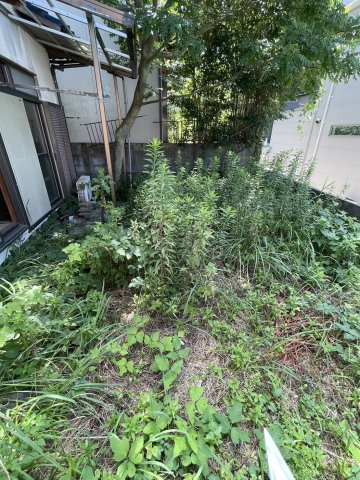 二丈武１丁目　戸建の庭