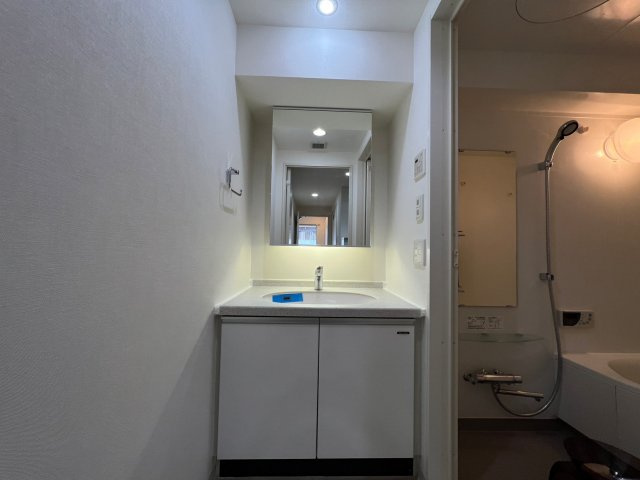 クロスレジデンス大阪新町の洗面所