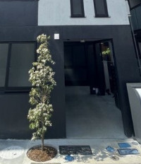 【エントランス】 | カンパネラ寺町