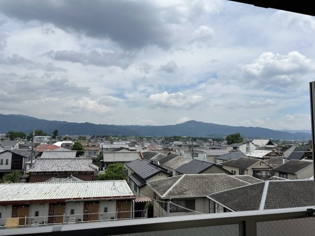 Previous Field 烏丸紫明の展望