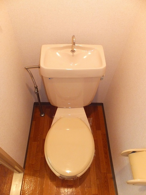 グリーンヒルズのトイレ