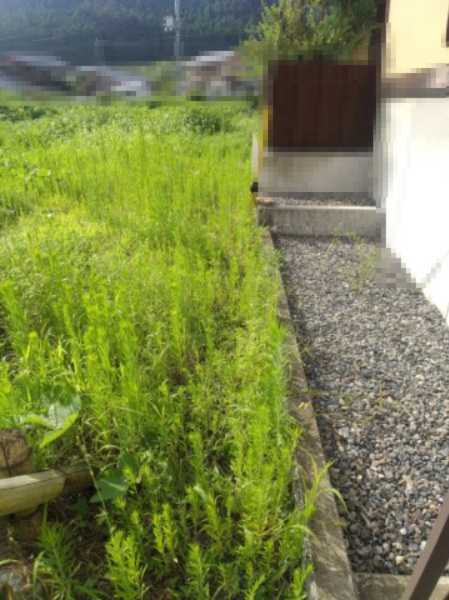 高島市朽木市場367坪土地の外観