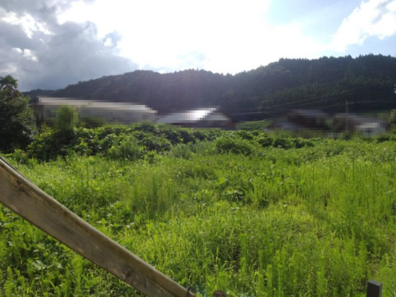 高島市朽木市場367坪土地の外観