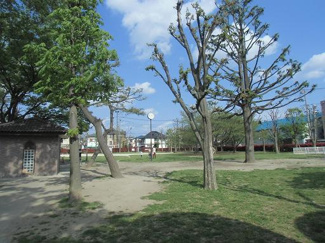 【周辺】 | 弁天公園