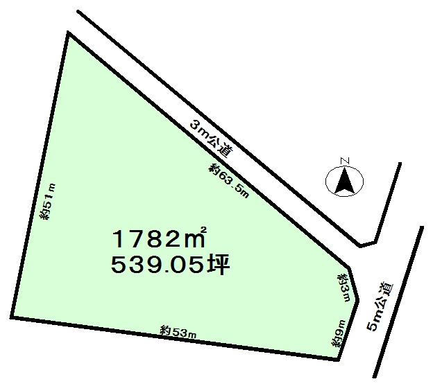 西高野　１０年特例用地の土地図