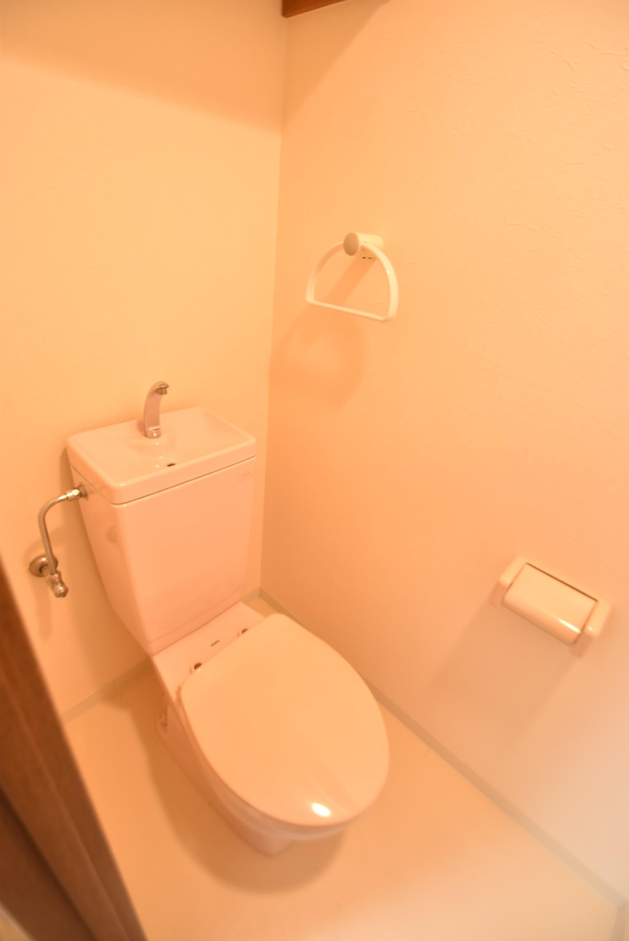 大阪市城東区中央２丁目の賃貸マンションのトイレ