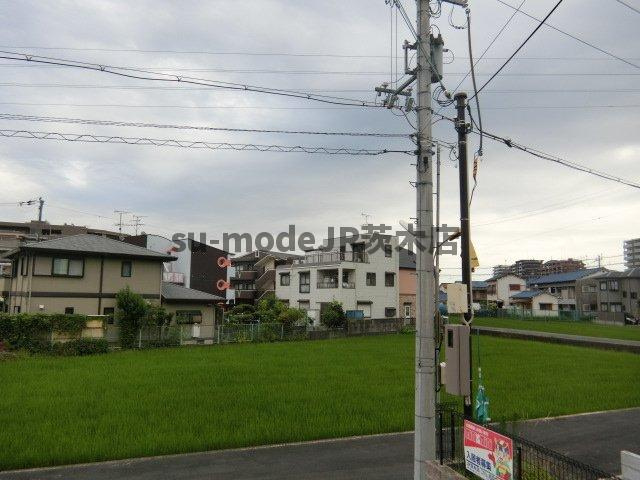 アネスティコートの展望