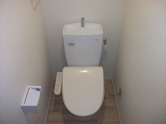 Maison de Sray Ⅱ Cのトイレ
