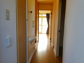 玄関からの眺めです。