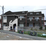 YUKIGUNIKASHIWADAI(ユキグニカシワダイ)の画像