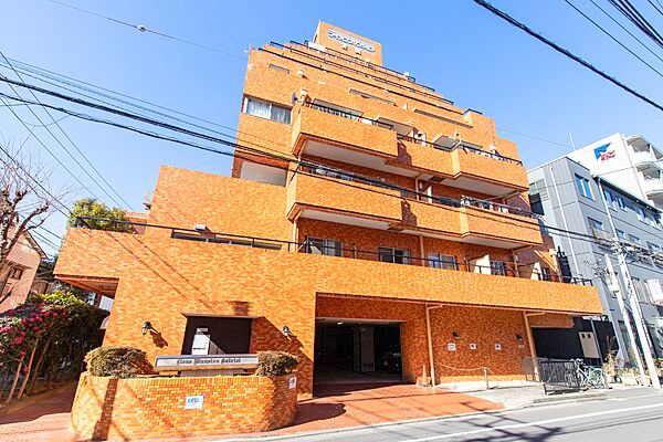 ライオンズマンション言問　4階　新　規　リ　ノベーションの外観