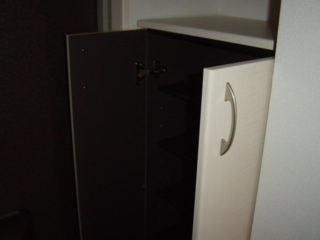 ラッフィナート田園の玄関|下足箱