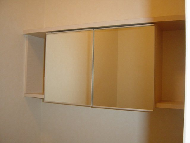 ラッフィナート田園のトイレ|トイレ収納